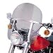 Low-Profile, Lightly Smoked, Detachable King-Size Nacelle Windshield