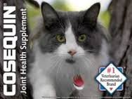Maximum Strength Plus Boswellia Joint Health Supplement for All Cats (Pack of 3 - 60ct bottles)