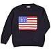 Boys American Flag Intarsia Crewneck Sweater