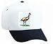 White Cap with australia, walking, feather, bird, cassowary