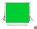 Chromakey Green Muslin Backdrop 6 x 9 feet with 2 Muslin Clamps