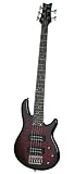 Schecter Electric Bass Guitar - Raiden Special 5-string, Black Cherry