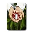 Save on Kike Calvo Panama - Portrait of Don Francisco Serracin, founder of Don Pachi Estate, holding whole Geisha coffee beans - Light Switch Covers -