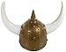 Jacobson Hat Company Men's Viking Helmet with Horns and Spike