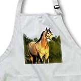 Horse - Quarter Horse - Aprons