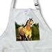 Horse - Quarter Horse - Aprons