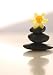 Flower Balancing on Rocks - 48