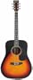 Lauren Beginner Dreadnought Guitar - Sunburst