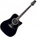 Takamine SW341SC Steve Wariner Signature Model Acoustic-Electric Guitar