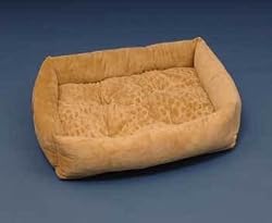 Snoozy Pillow Talk 25 in. x 20 in.