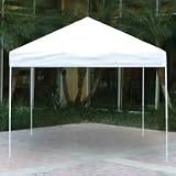 ShelterLogic Commercial Pop-Up Canopy - 10ft.L x 10ft.W, Open Top, Straight Leg, White, Model# 22578