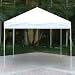 ShelterLogic Commercial Pop-Up Canopy - 10ft.L x 10ft.W, Open Top, Straight Leg, White, Model# 22578