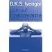 Licht auf Pranayama: Das grundlegende Lehrbuch der Atemschule des Yoga