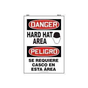 DANGER HARD HAT AREA (W/GRAPHIC) Sign - Plastic