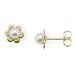 Akoya Pearl Earrings in 14K Yellow Gold