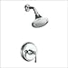Kohler K-T11078-4-BN Archer shower faucet trim with lever handle, valve not included, Vibrant Brushe Image