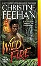 Wild Fire (Leopard Series #4)