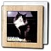 Tuxedo Cat - 6 Inch Tile Napkin Holder