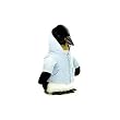Hip Hop Penguin