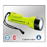 Search : Pelican SabreLite™ 2020 Recoil LED™