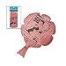 One Dozen (12) Whoopee Cushion Party Favors [Toy]