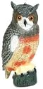 Owl (decoy)