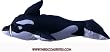 6ft 3D Killer Whale Windsock