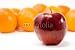 Wallmonkeys Peel and Stick Wall Decals - An Apple and Orange - 2 - Removable Graphic