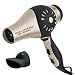 1875W Variable Ion Hair Dryer