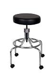 Ergo Ease 52073 Laboratory Stool