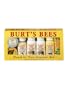 Burt's Bees Head to Toe Starter Kit (Contents may vary) 1 kit