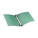 Avery Hanging Storage 3 Ring Binder, 1 Inch Round Rings, 1 Green Binder (14802)