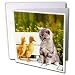 Cats - Kitten and Duck - Greeting Cards-12 Greeting Cards with envelopes