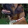 Hundehalsband rot LED-leuchtend blinkend, gro�
