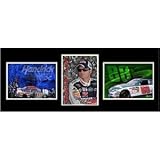 TSF-JR10 Dale Earnhardt, Jr triple shot frame photo. These pieces come double matted in a heavy metal frame with glass front. Features three 5 x 7 photographs of driver and car.