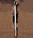 AH3123 - Caribbean Pirate Cutlass o'll 41 (with scabbard) [Reenactor Replicas by Deepeeka -- British, French & Scottish | Swords]