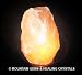 7 Inch - Indus Classic Himalayan Salt Lamps 5-6 Pounds Energy!