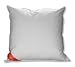 Produkt-Bild: Badenia 03620920123 Kopfkissen Trendline Classic mit Doppelnaht und Biese 80 x 80 cm