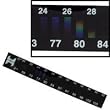Liquid Crystal Thermometer