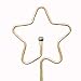 Outdoor Living : Artful Showers Sculpture Sprinkler - Star