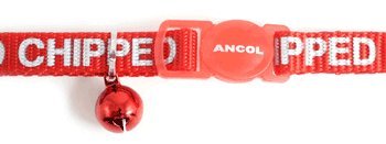 AncolI Am Micro Chipped Safety Cat Collar - Reflective Comfortable Pet Accessory with Break Away Buckle - Kitten Walking Neckband