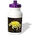 Flowers - Chrysanthemum - Water Bottles