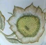 Review susie cooper  / Susie Cooper Sunflower Coffee Cup & Saucer c2002