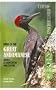 Birds of the Great Andamanese: Names, Classification and Culture