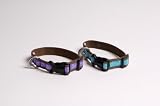 Organic Cotton Canvas Pet Collar- Aqua