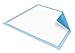 Underpad Light Absorbent 23X36 10Ea/Bg 12Bg/Cs