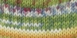 Red Heart Heart & Sole Yarn-Green Envy