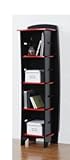 Fun to Assemble Bookcase in Red and Black by Legare