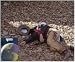 Discovery Channel DVD Unsolved History ~ Shoot Out at the O.K. Corral