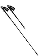 Easton CTR-70 Carbon Trekking Poles (Pair)